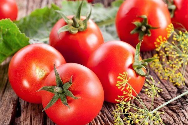 มะเขือเทศสไปริดอน