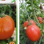 กระเป๋าถือมะเขือเทศ