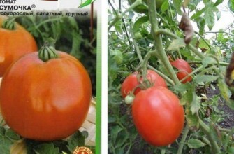 กระเป๋าถือมะเขือเทศ