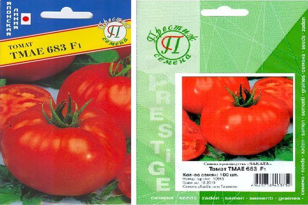graines de tomates