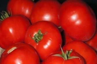 มะเขือเทศสุก