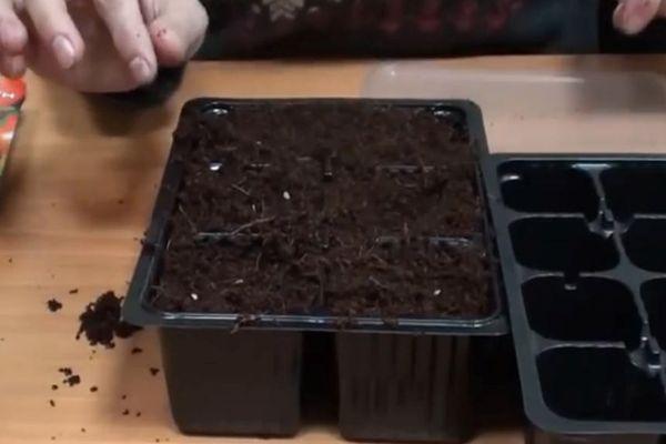 การเตรียมดิน