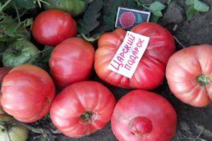 คำอธิบายเกี่ยวกับมะเขือเทศผลใหญ่ของขวัญของซาร์และกฎสำหรับการปลูกพันธุ์นี้ในสภาพเรือนกระจก
