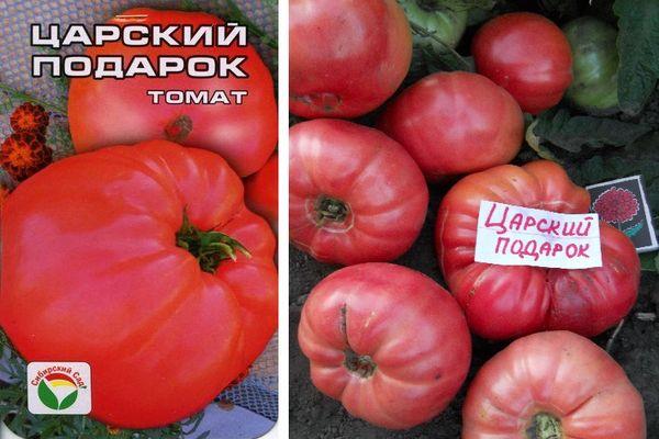 มะเขือเทศผลใหญ่