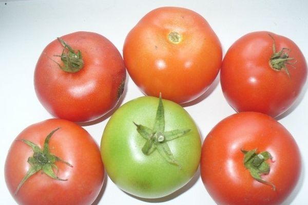 Fruits de tomate