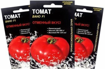 ซองเมล็ดพันธุ์