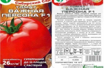 ลักษณะของมะเขือเทศ