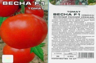 ลักษณะของมะเขือเทศ