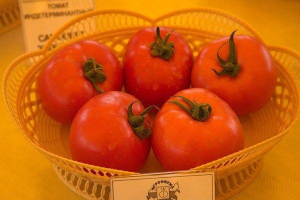 Un vase de tomates