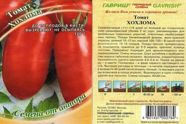 ลักษณะของมะเขือเทศ