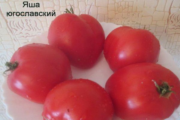 Fruits de tomate