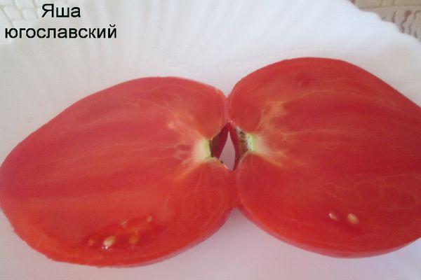 pulpe de tomate