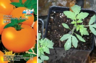 มะเขือเทศซีโร่