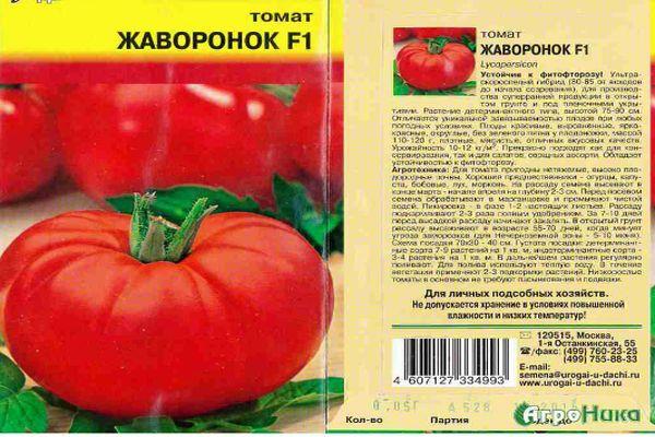 ลักษณะของมะเขือเทศ