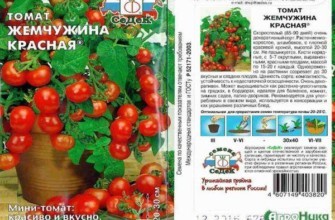 ลักษณะของมะเขือเทศ