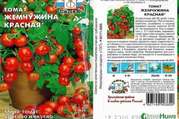 ลักษณะของมะเขือเทศ