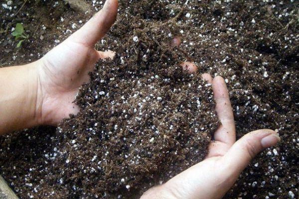 ดินกับปุ๋ย