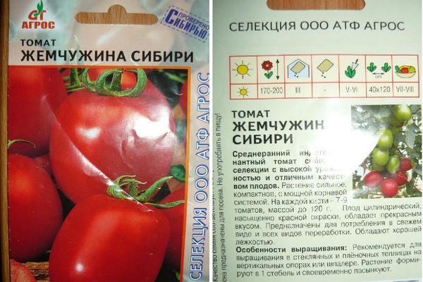 ลักษณะของผลไม้