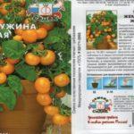 ลักษณะของมะเขือเทศ