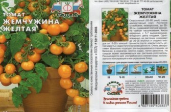 ลักษณะของมะเขือเทศ