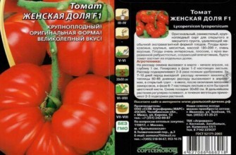 ลักษณะของมะเขือเทศ