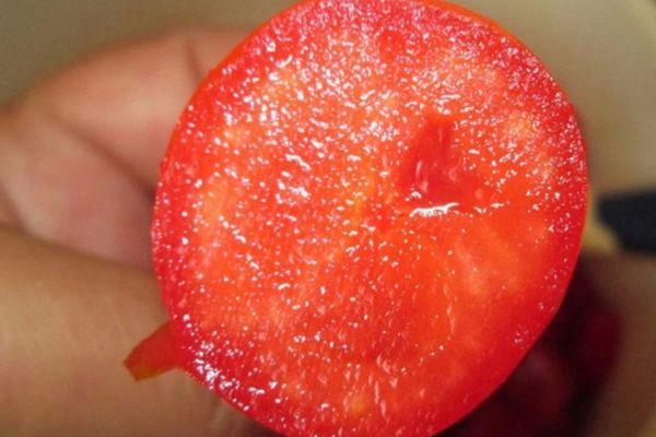 เนื้อมะเขือเทศ