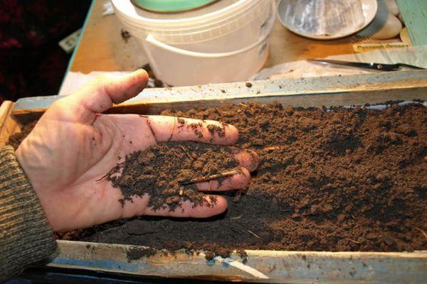 Terreau pour tomates