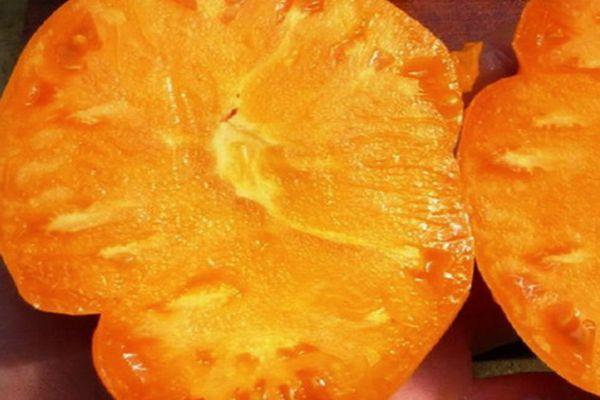 เนื้อมะเขือเทศ