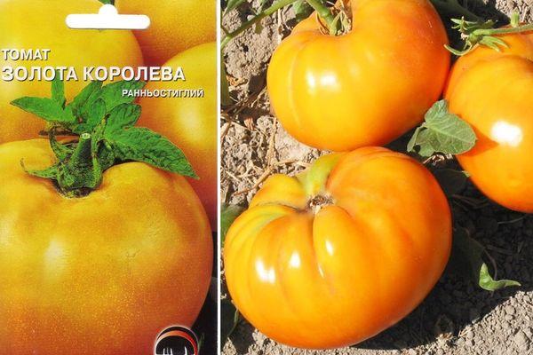 มะเขือเทศสีทอง