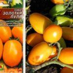 มะเขือเทศสีทอง