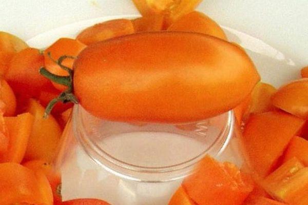 มะเขือเทศสีส้ม