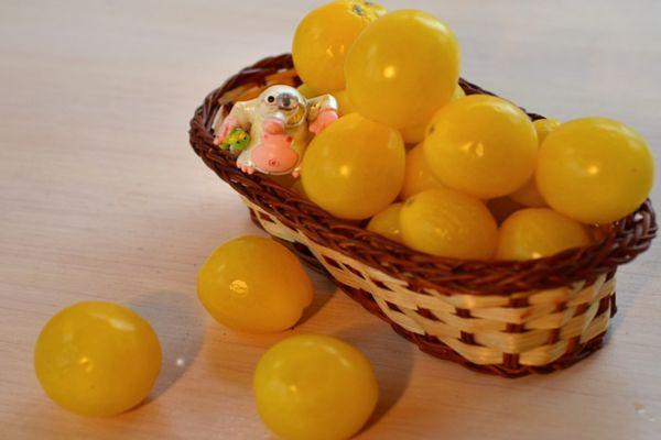 มะเขือเทศสีเหลือง