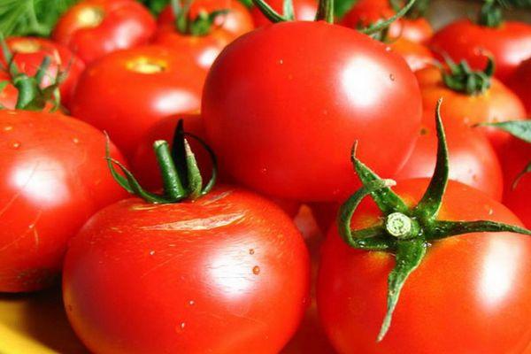 มะเขือเทศสุก