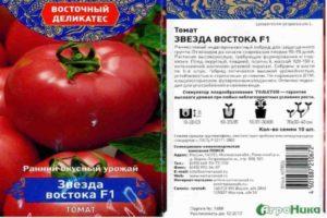 Caractéristiques de la tomate Eastern Star et description de la variété hybride