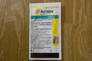 คำแนะนำการใช้ Aktara สำหรับการดูแลแตงกวาในโรงเรือน