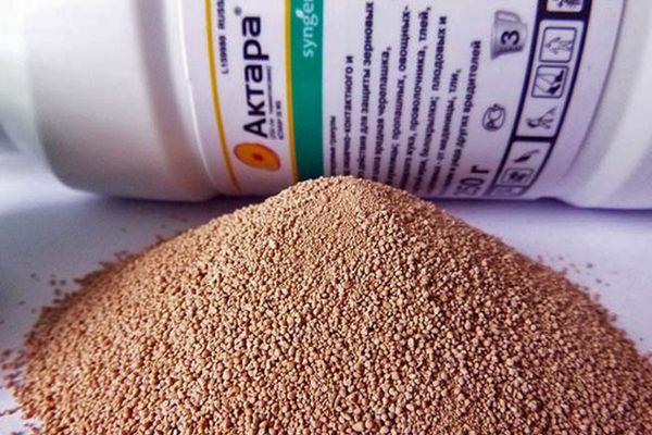 แอคทาราในเม็ด