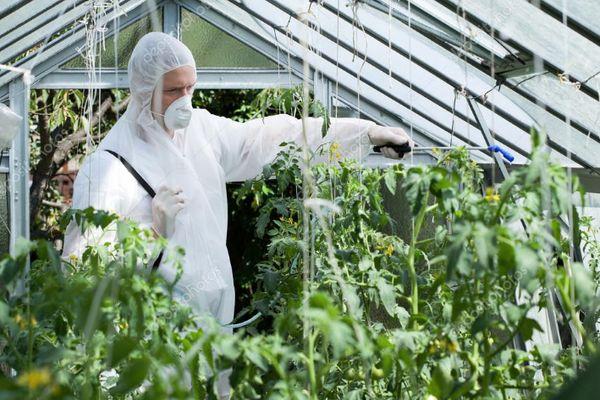 Combattre les parasites