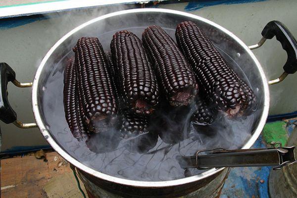 ข้าวโพดต้ม