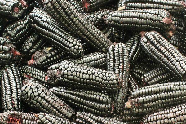 ผลไม้สีดำ