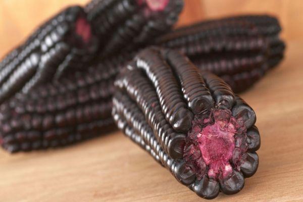 ประโยชน์ต่อสุขภาพของข้าวโพดดำและวิธีการปลูกในสวนของคุณ