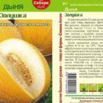 ลักษณะของฟักทอง