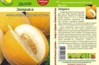 ลักษณะของฟักทอง