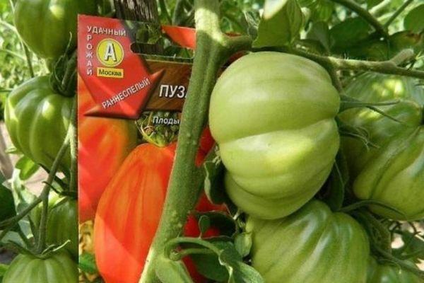 บ้านพุงพลุ้ย