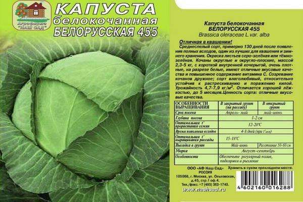 ลักษณะเด่นของกะหล่ำปลี