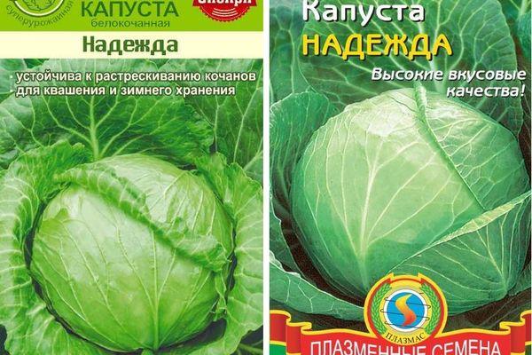 เมล็ดกะหล่ำปลี