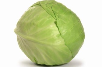 กะหล่ำปลีขาว