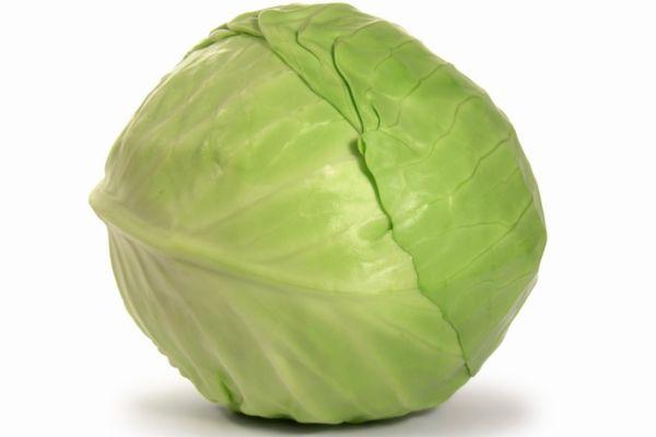 กะหล่ำปลีขาว