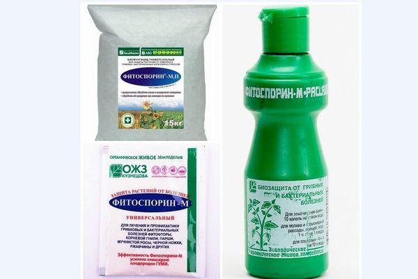 สารฆ่าเชื้อรา ฟิโตสปอริน