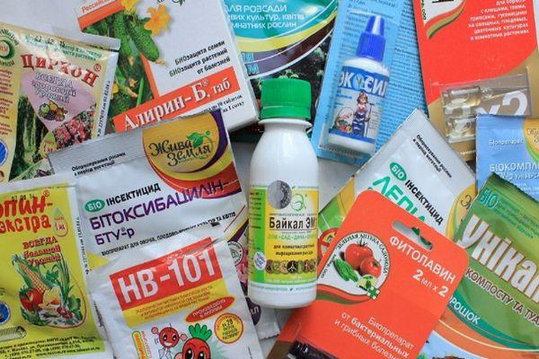 สารป้องกันเชื้อรา