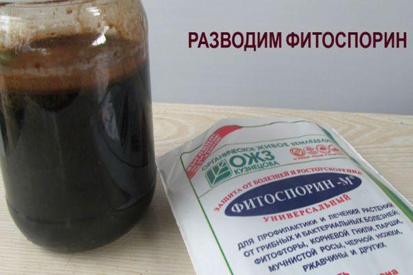 ฟิโตสปอรินในบรรจุภัณฑ์